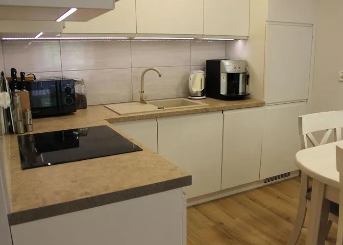 Blisko Centrum Z Garażem *