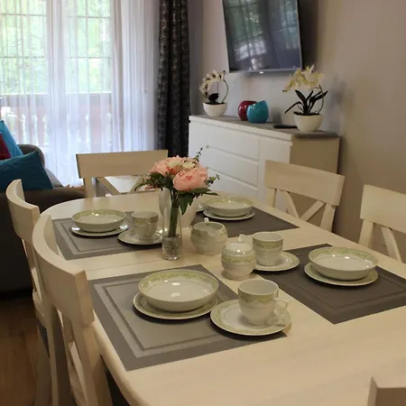 Apartament Blisko Centrum Z Garażem